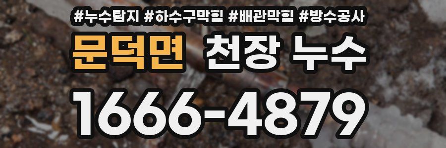 문덕면 천장 누수