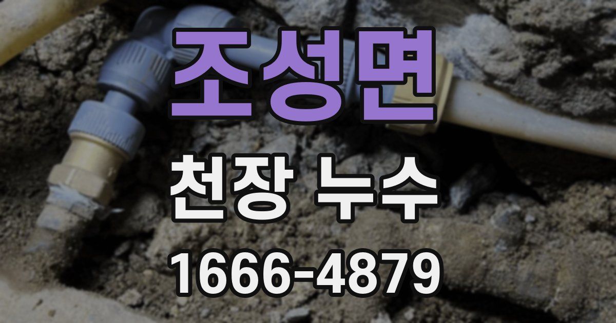 조성면 천장 누수