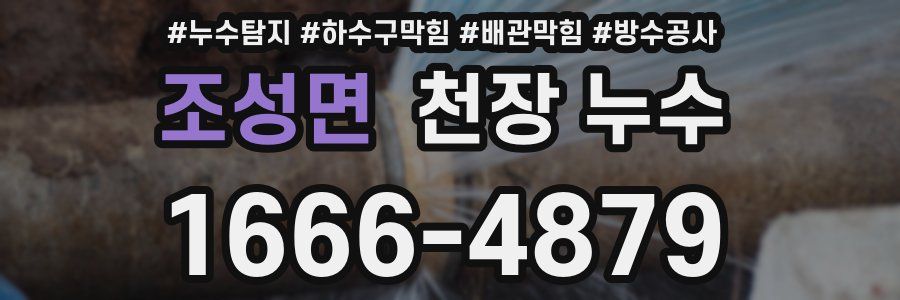 조성면 천장 누수