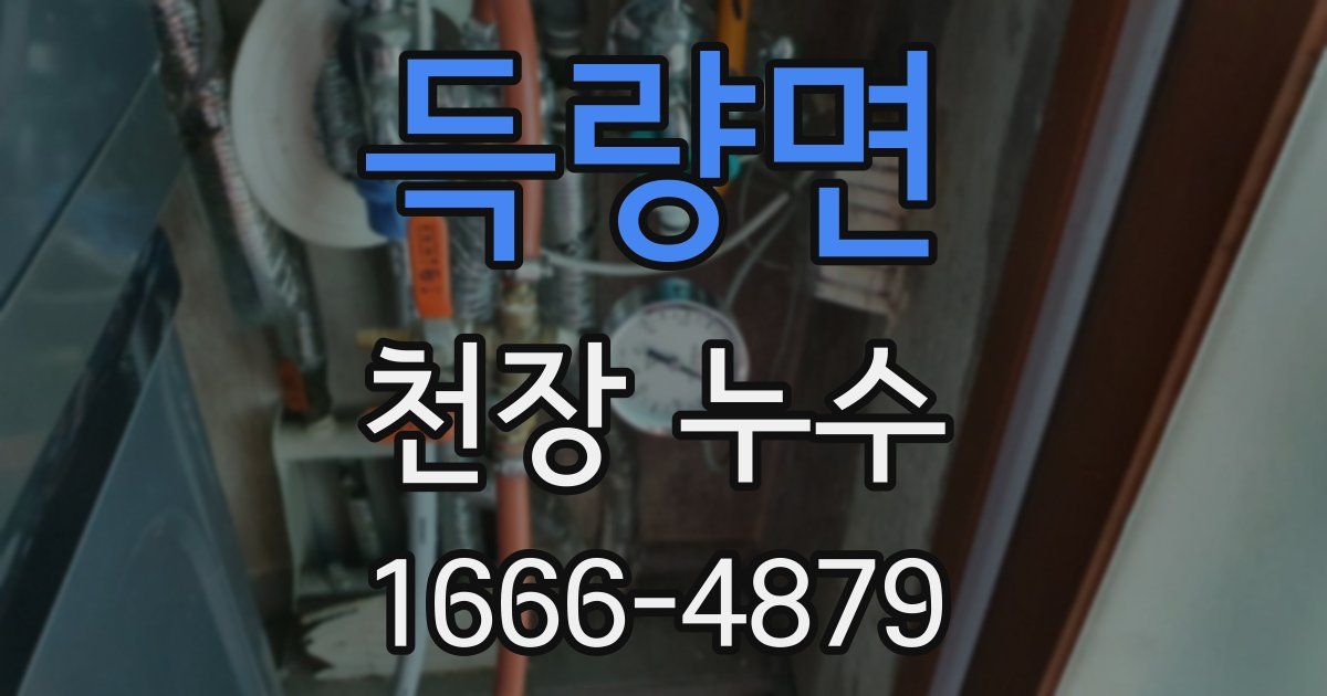 득량면 천장 누수