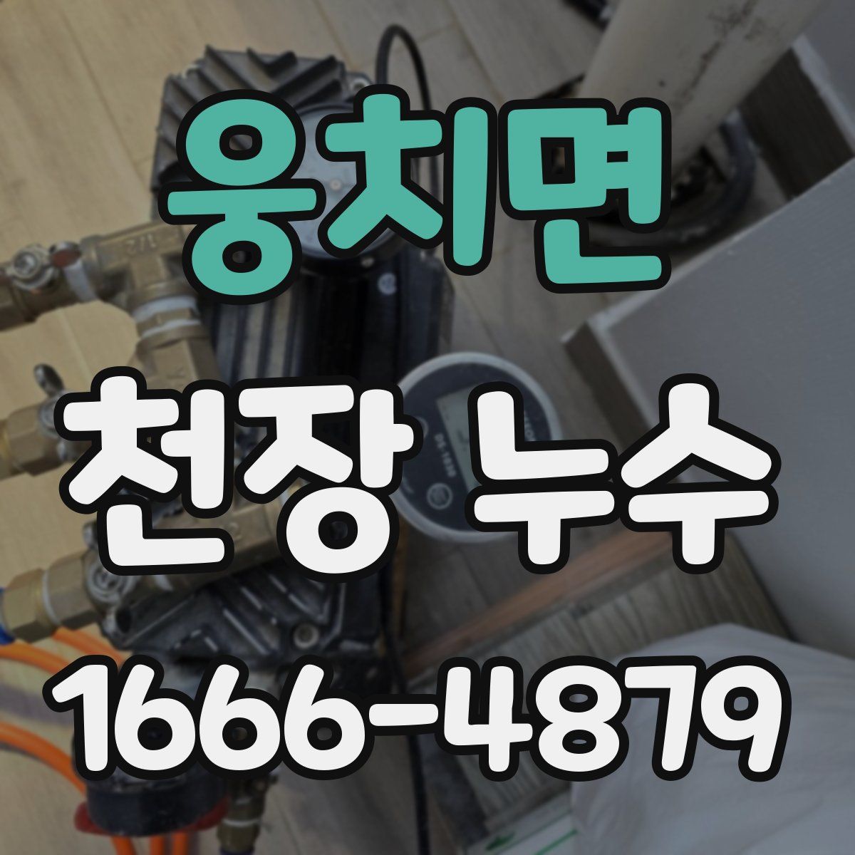 웅치면 천장 누수