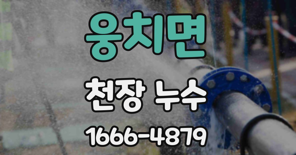 웅치면 천장 누수