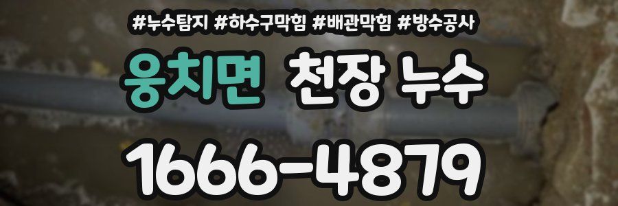 웅치면 천장 누수
