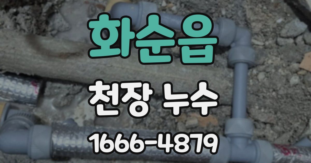 화순읍 천장 누수
