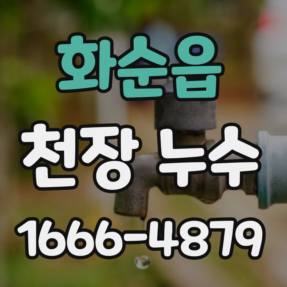 화순읍 천장 누수