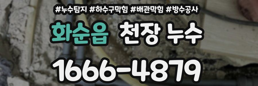 화순읍 천장 누수