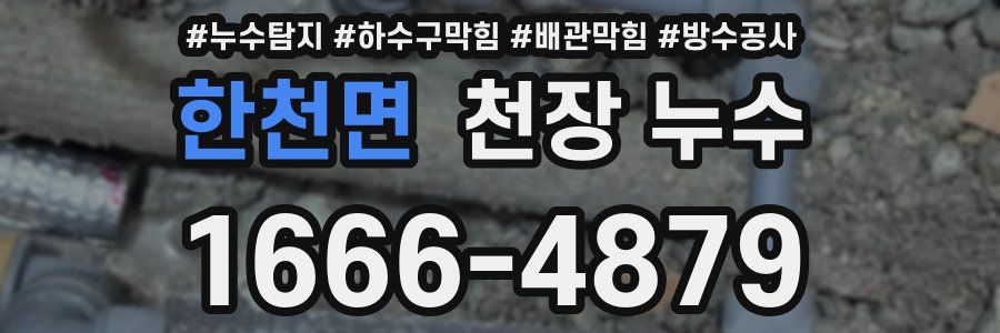 한천면 천장 누수