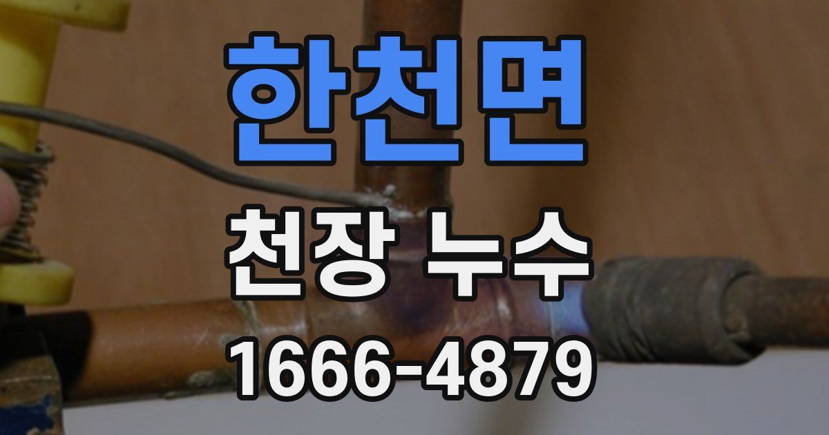 한천면 천장 누수