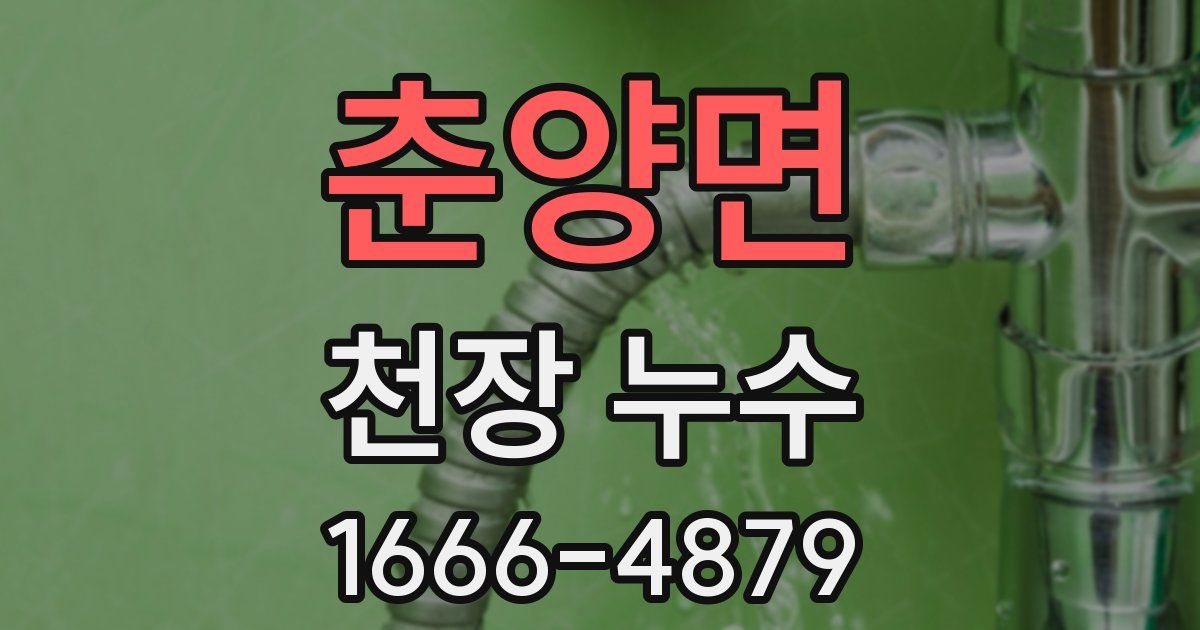 춘양면 천장 누수