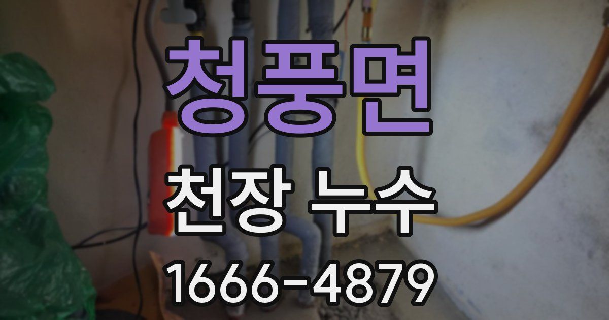 청풍면 천장 누수