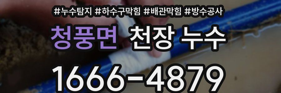 청풍면 천장 누수