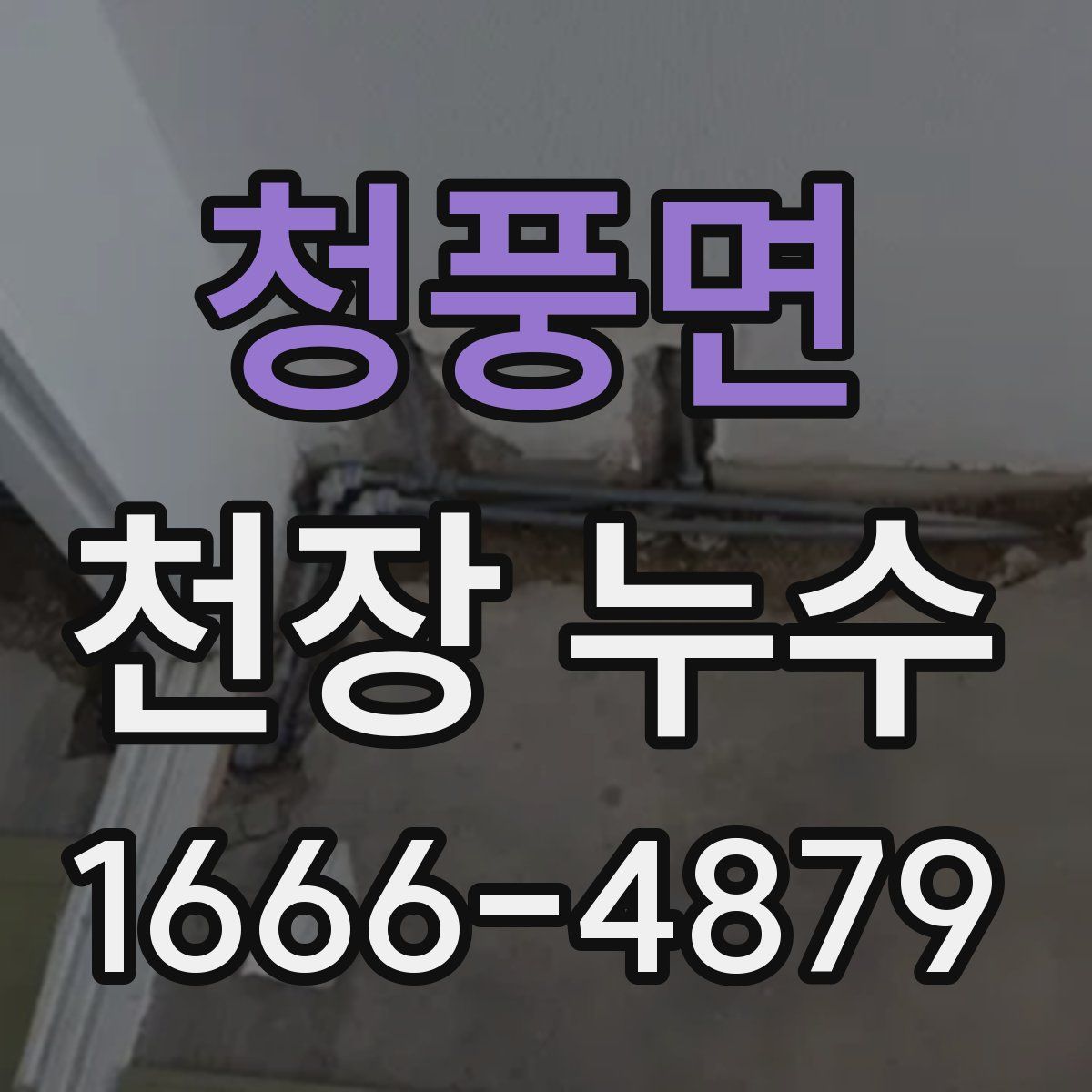 청풍면 천장 누수
