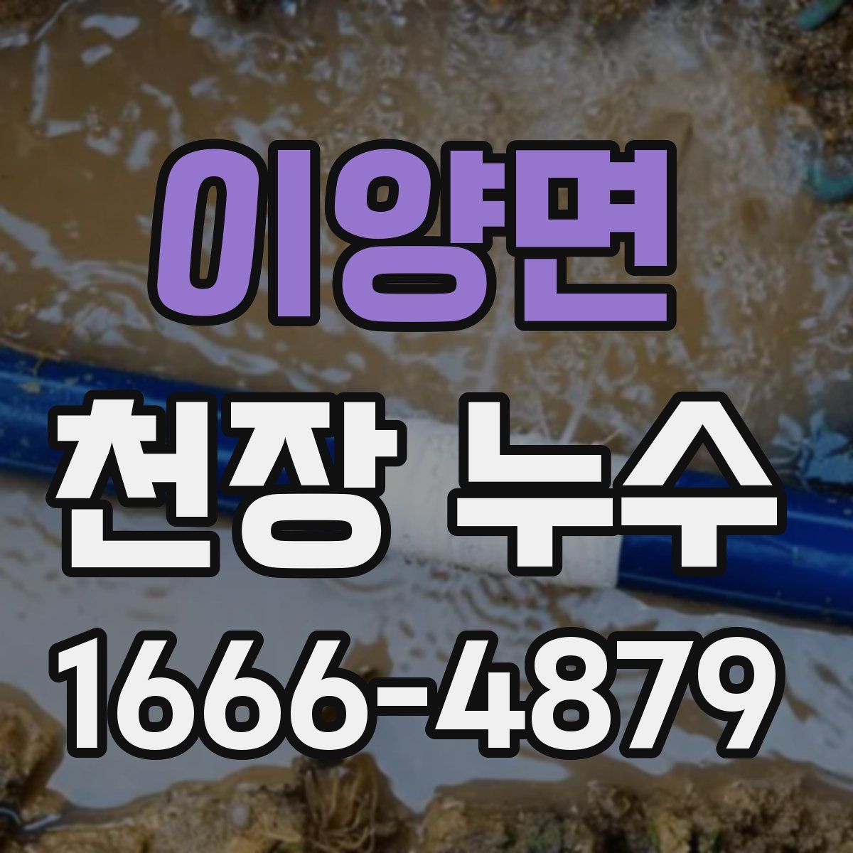 이양면 천장 누수