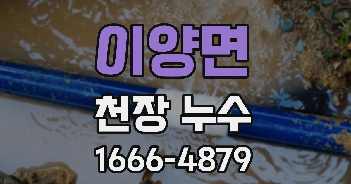 이양면 천장 누수