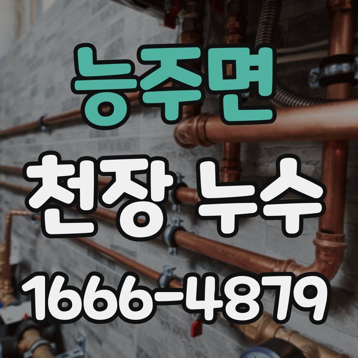 능주면 천장 누수
