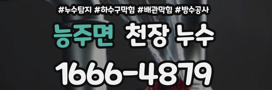 능주면 천장 누수