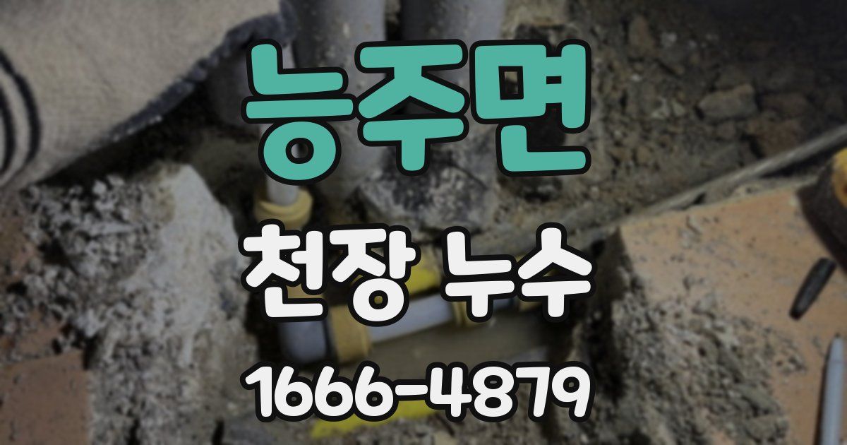 능주면 천장 누수