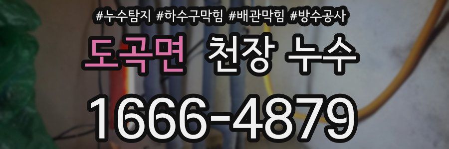도곡면 천장 누수