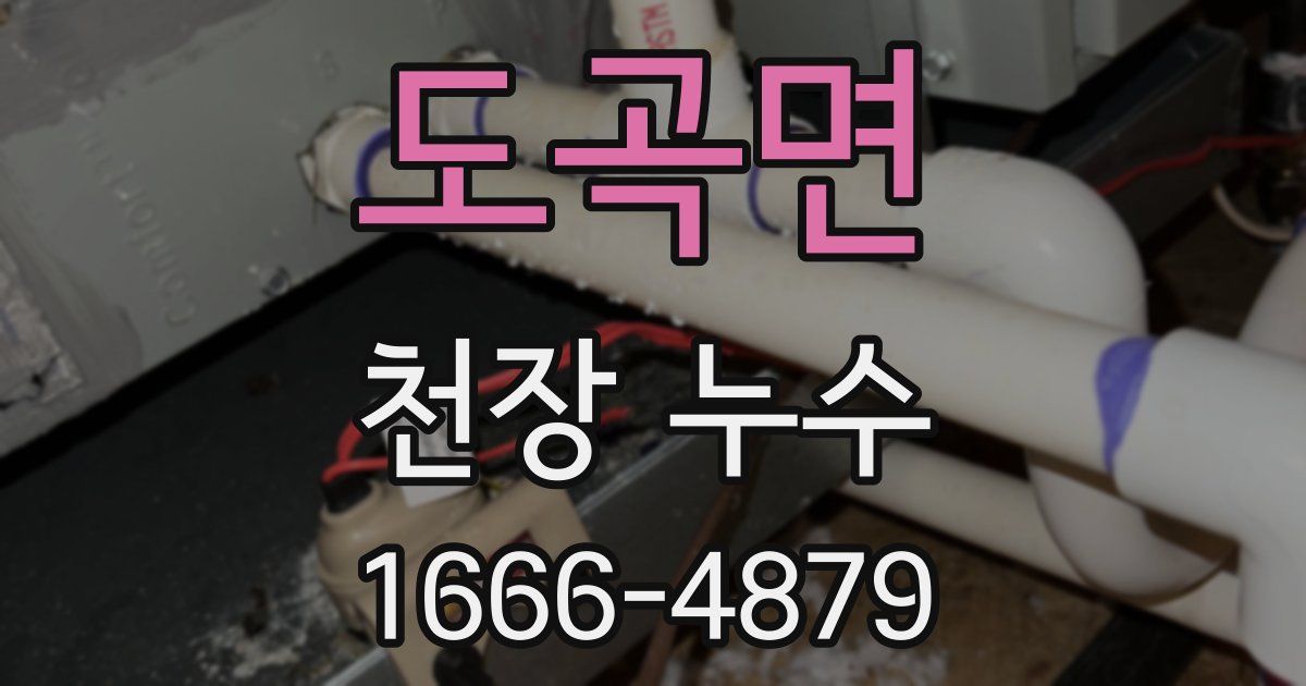도곡면 천장 누수