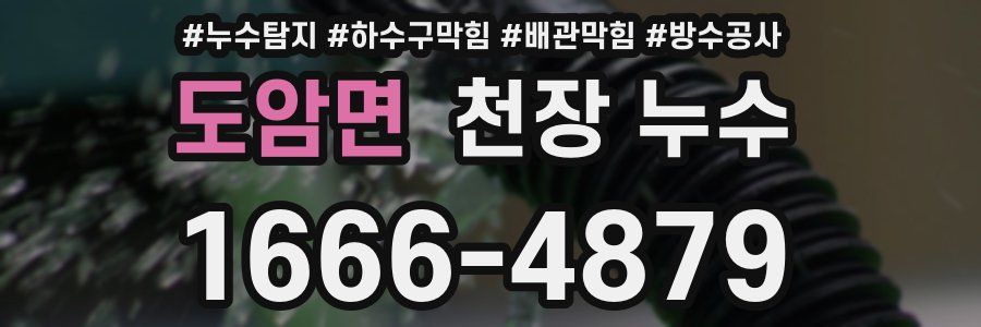 도암면 천장 누수