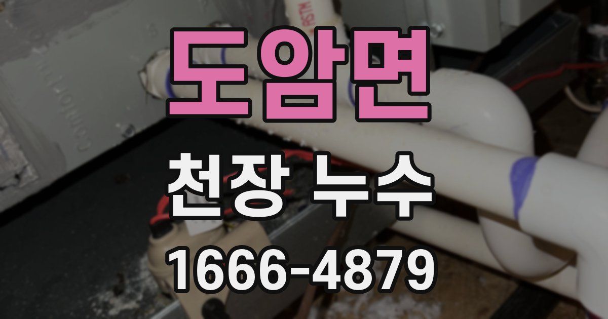 도암면 천장 누수