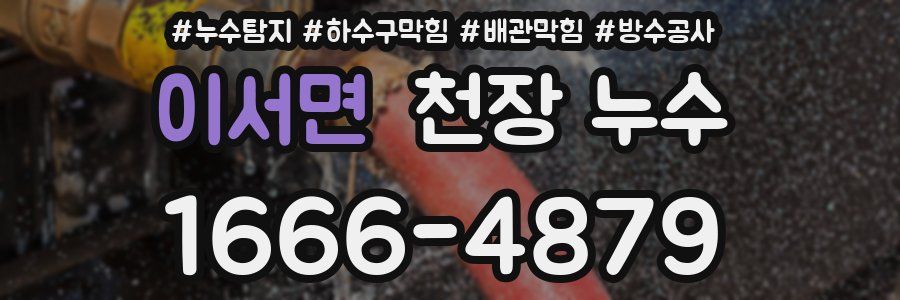 이서면 천장 누수