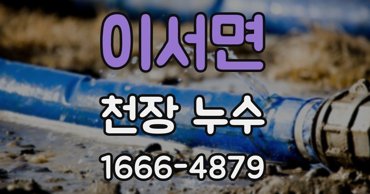 이서면 천장 누수