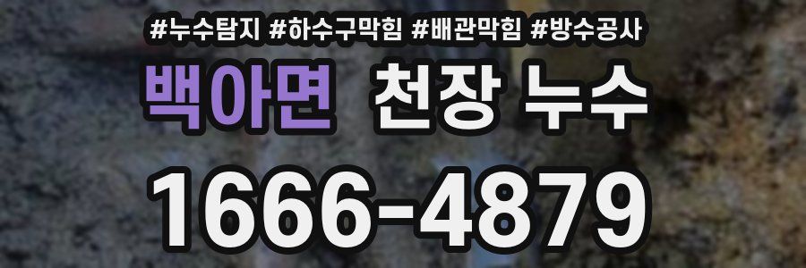 백아면 천장 누수