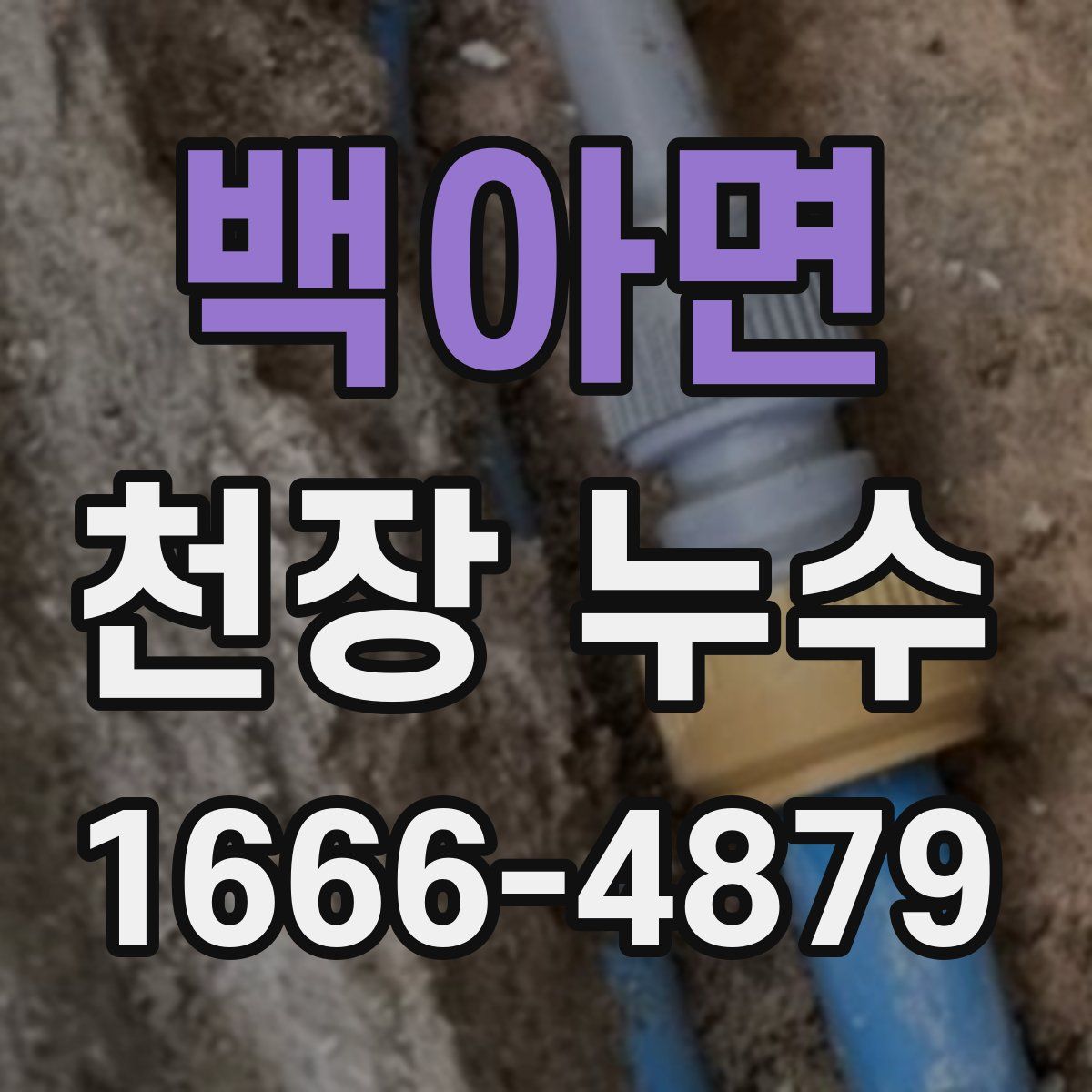 백아면 천장 누수