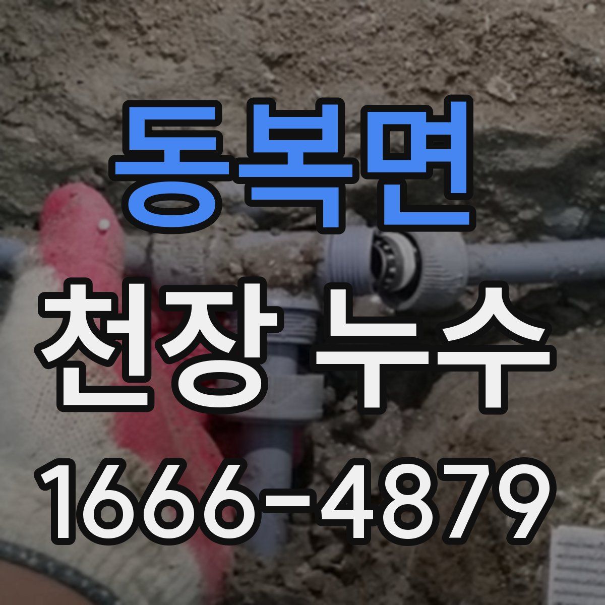 동복면 천장 누수