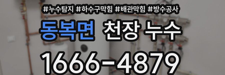 동복면 천장 누수