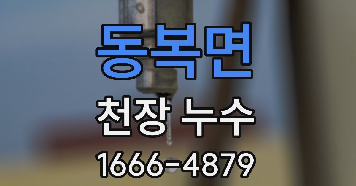 동복면 천장 누수