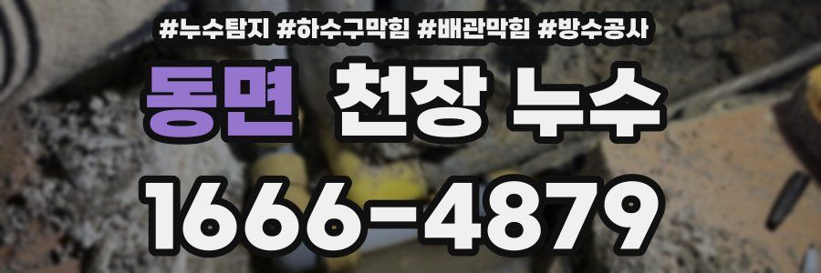 동면 천장 누수