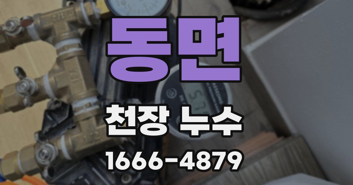동면 천장 누수