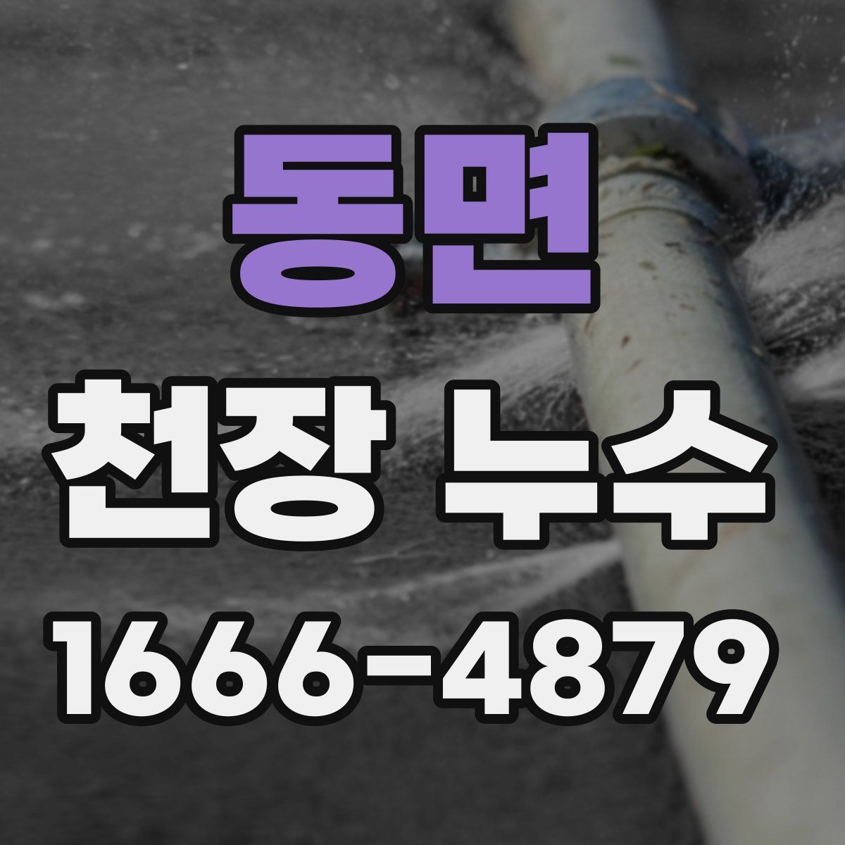 동면 천장 누수
