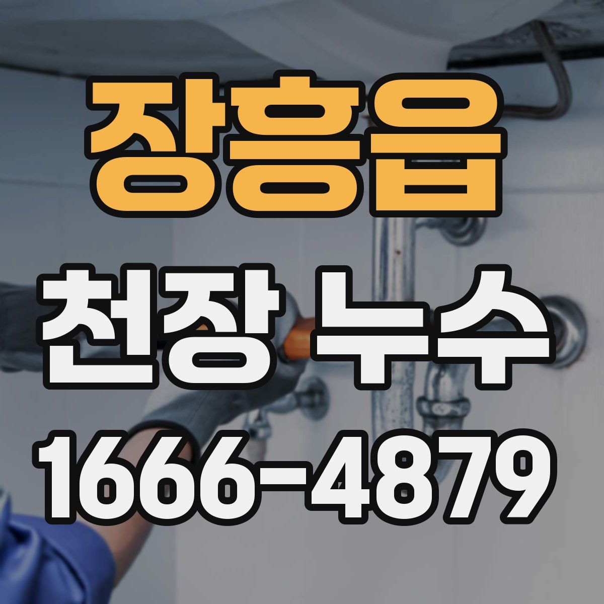장흥읍 천장 누수