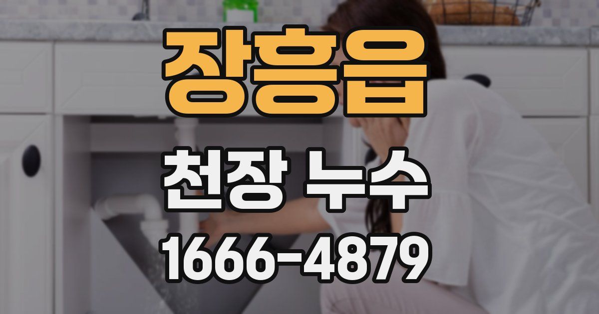 장흥읍 천장 누수
