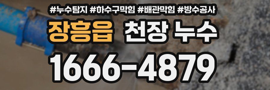 장흥읍 천장 누수