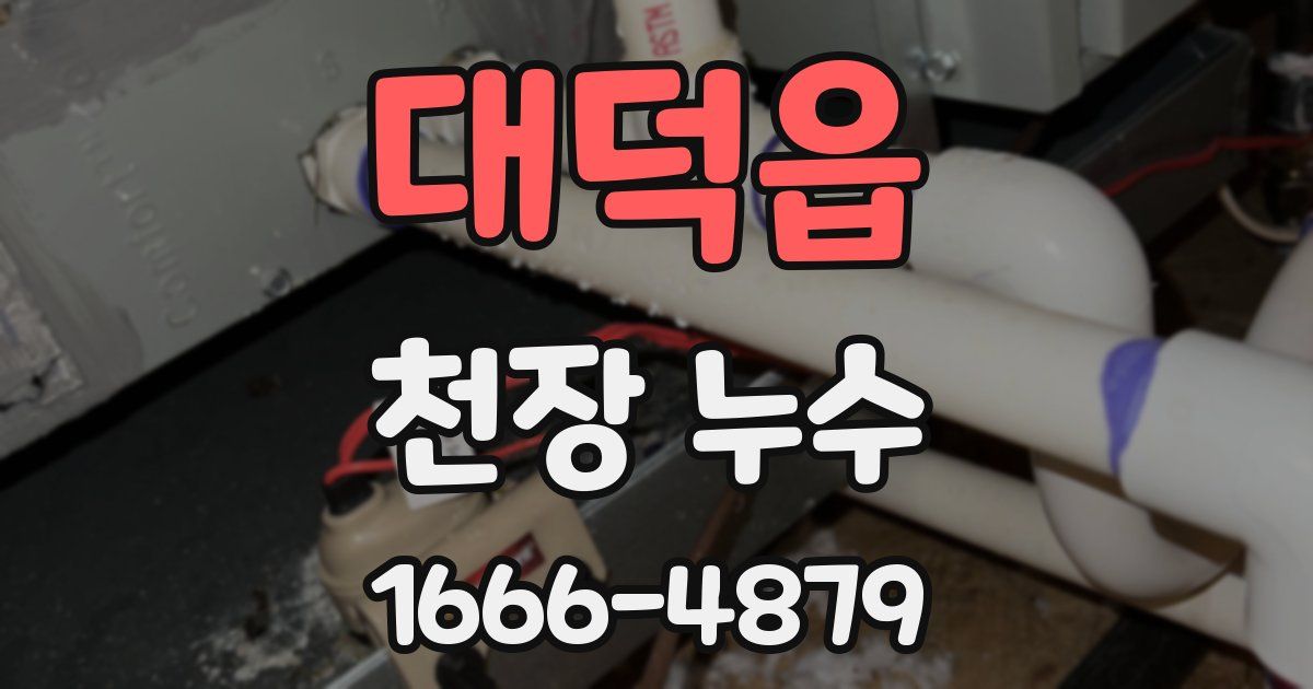 대덕읍 천장 누수