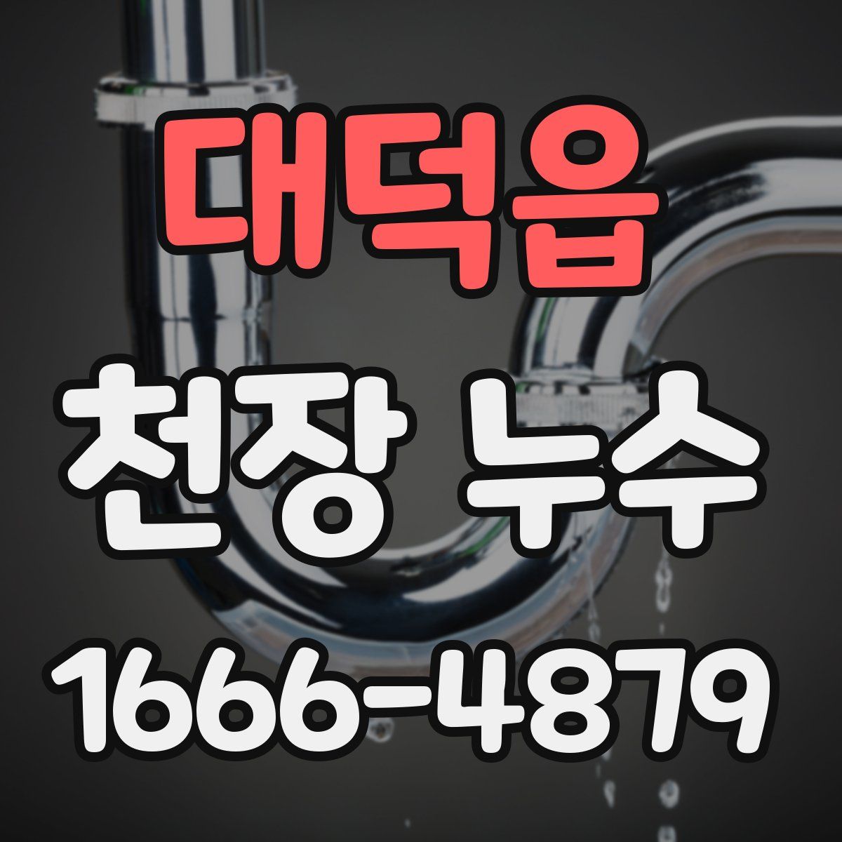 대덕읍 천장 누수
