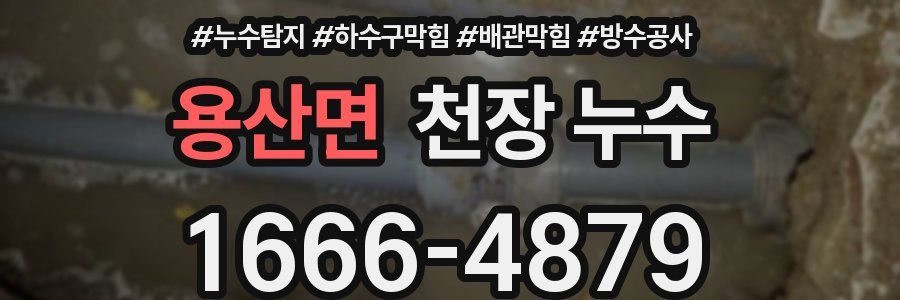 용산면 천장 누수