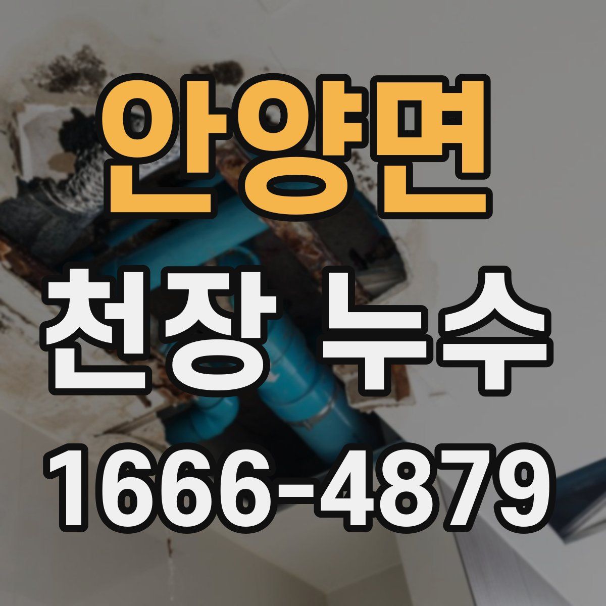 안양면 천장 누수