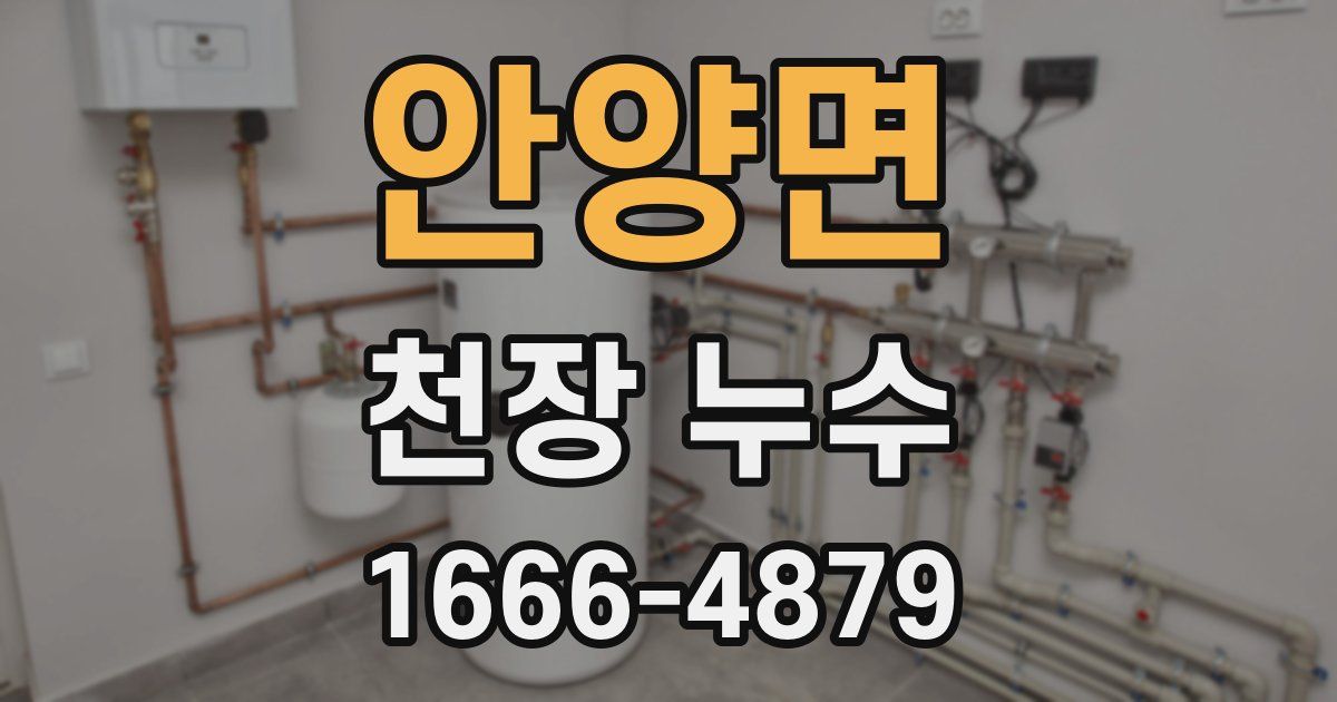 안양면 천장 누수