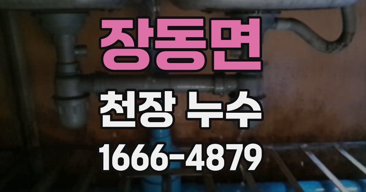 장동면 천장 누수