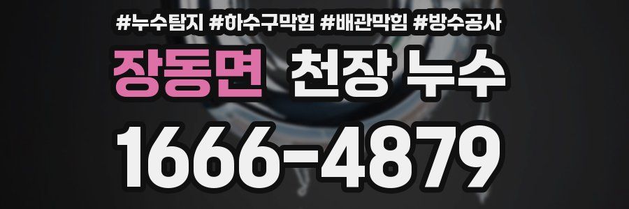 장동면 천장 누수