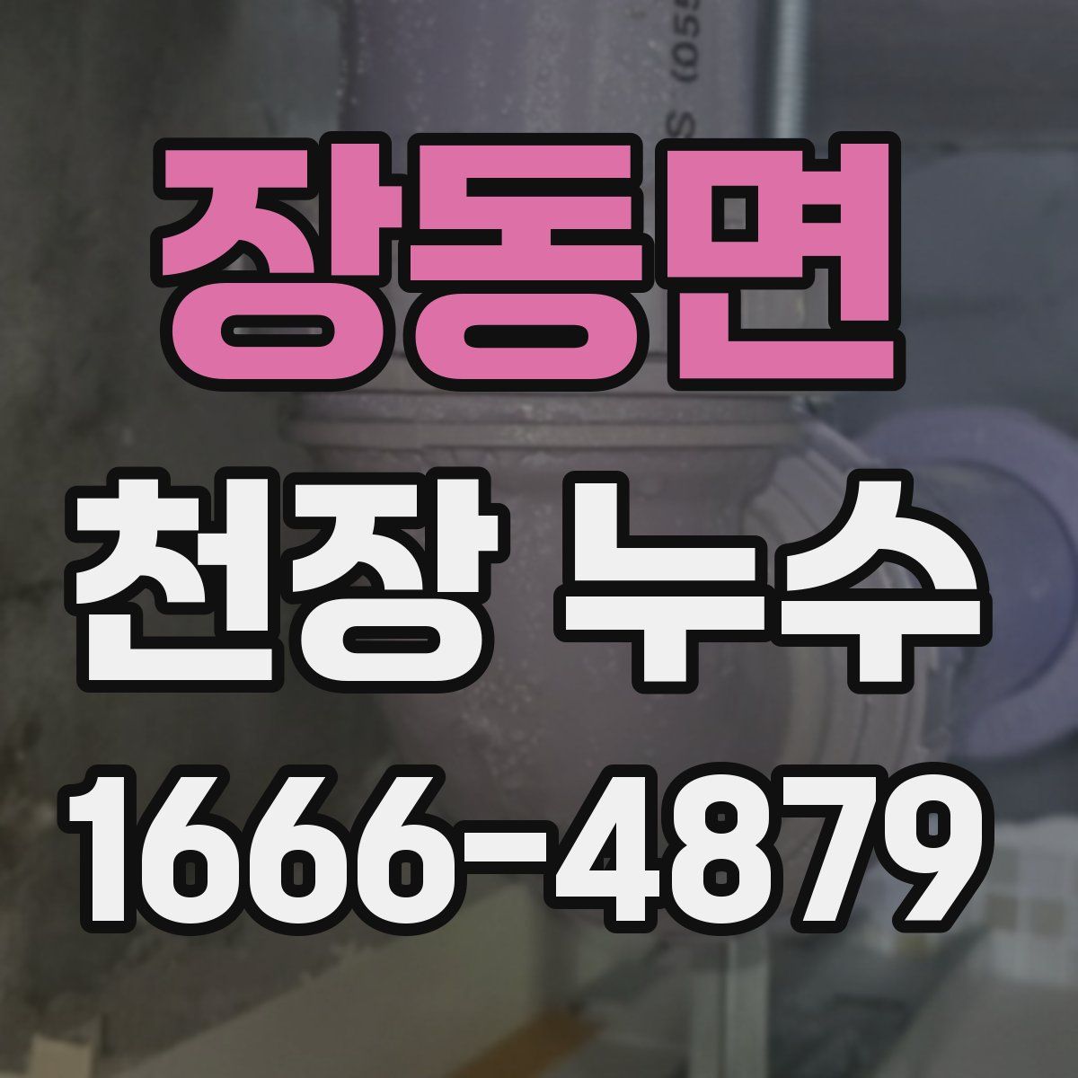장동면 천장 누수