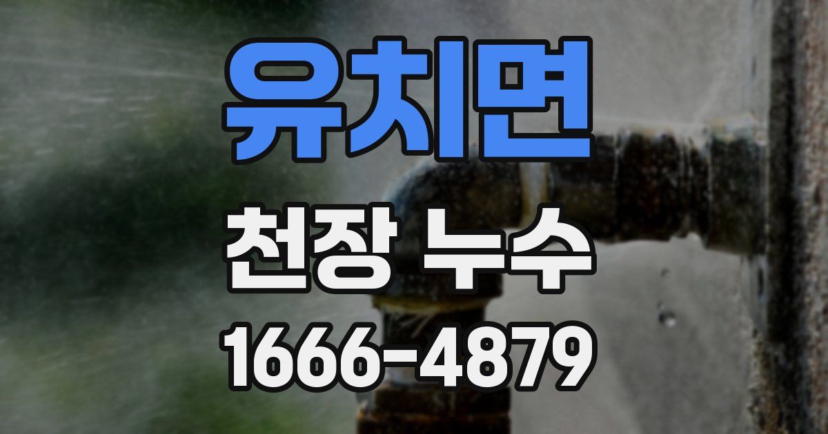 유치면 천장 누수