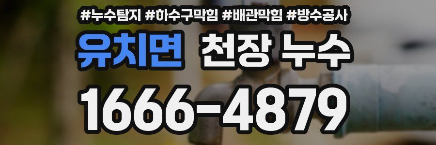 유치면 천장 누수