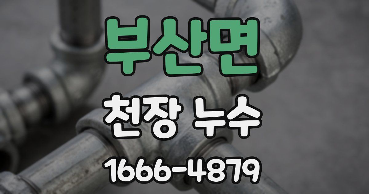 부산면 천장 누수