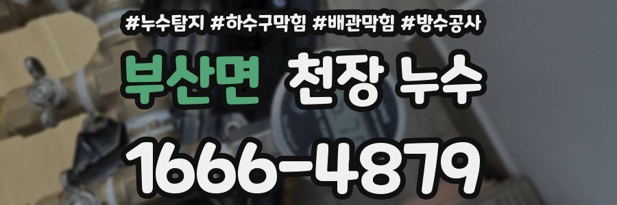 부산면 천장 누수